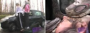cucciolopage-505模特俩女王野外运动鞋践踏羞辱畜生泥地践踏满嘴泥
